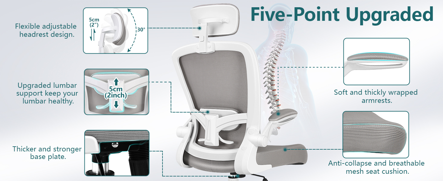 FelixKing Ergonomic Design