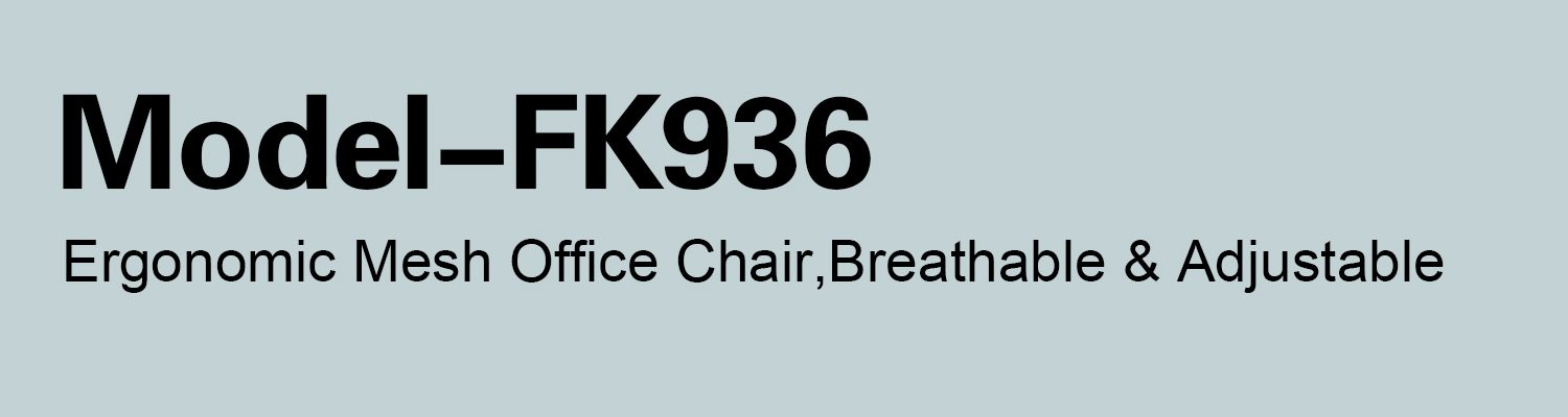 FelixKing Office Chair Model FK918